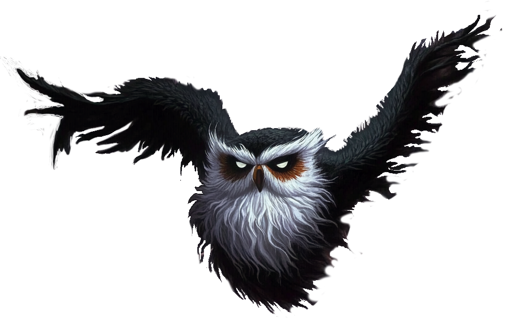 rothbart-flying-cropped-transBG